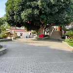 Bed & Breakfast Giardino Delle Zagare