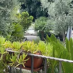 Giardino Delle Zagare Bed & Breakfast Vieste